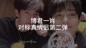 一肖拖一肖二中二有幾組——深度解析與探索，深度解析與探索，一肖拖一肖二中二有多少組組合？