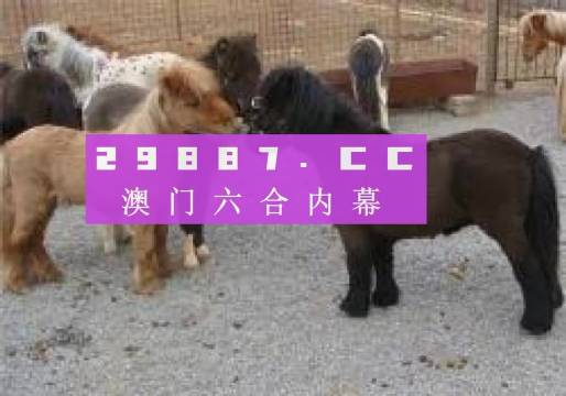 王中王馬會(huì)平特一肖論壇，深度探討與SEO優(yōu)化策略，王中王馬會(huì)平特一肖論壇，深度探討SEO優(yōu)化策略