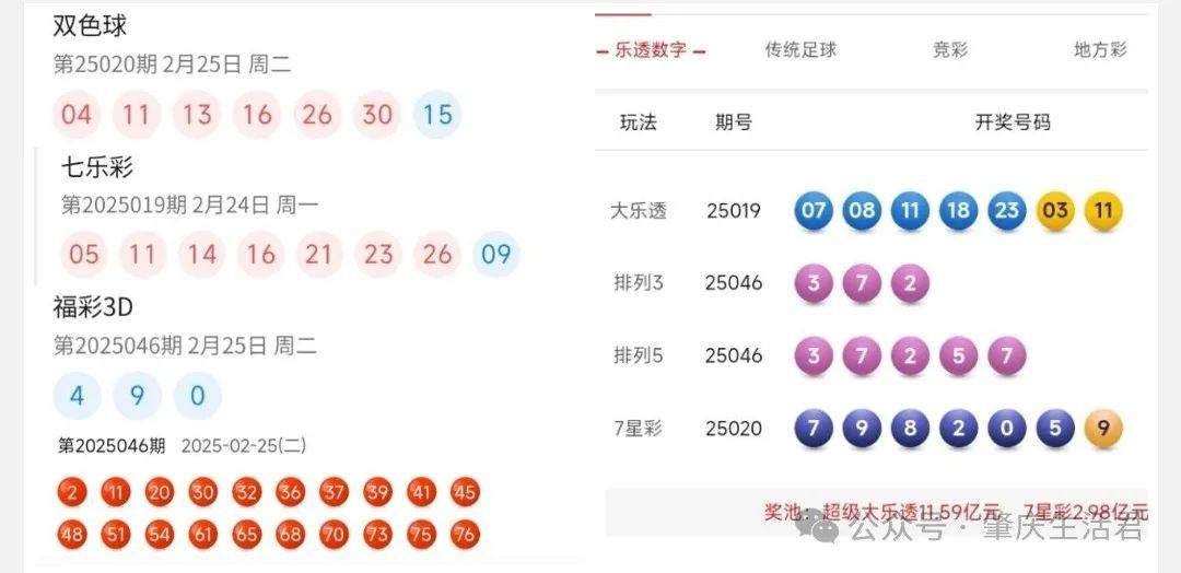 香港今晚開獎結(jié)果號碼是多少——揭秘彩票背后的秘密，揭秘彩票背后的秘密，香港今晚開獎結(jié)果號碼揭曉