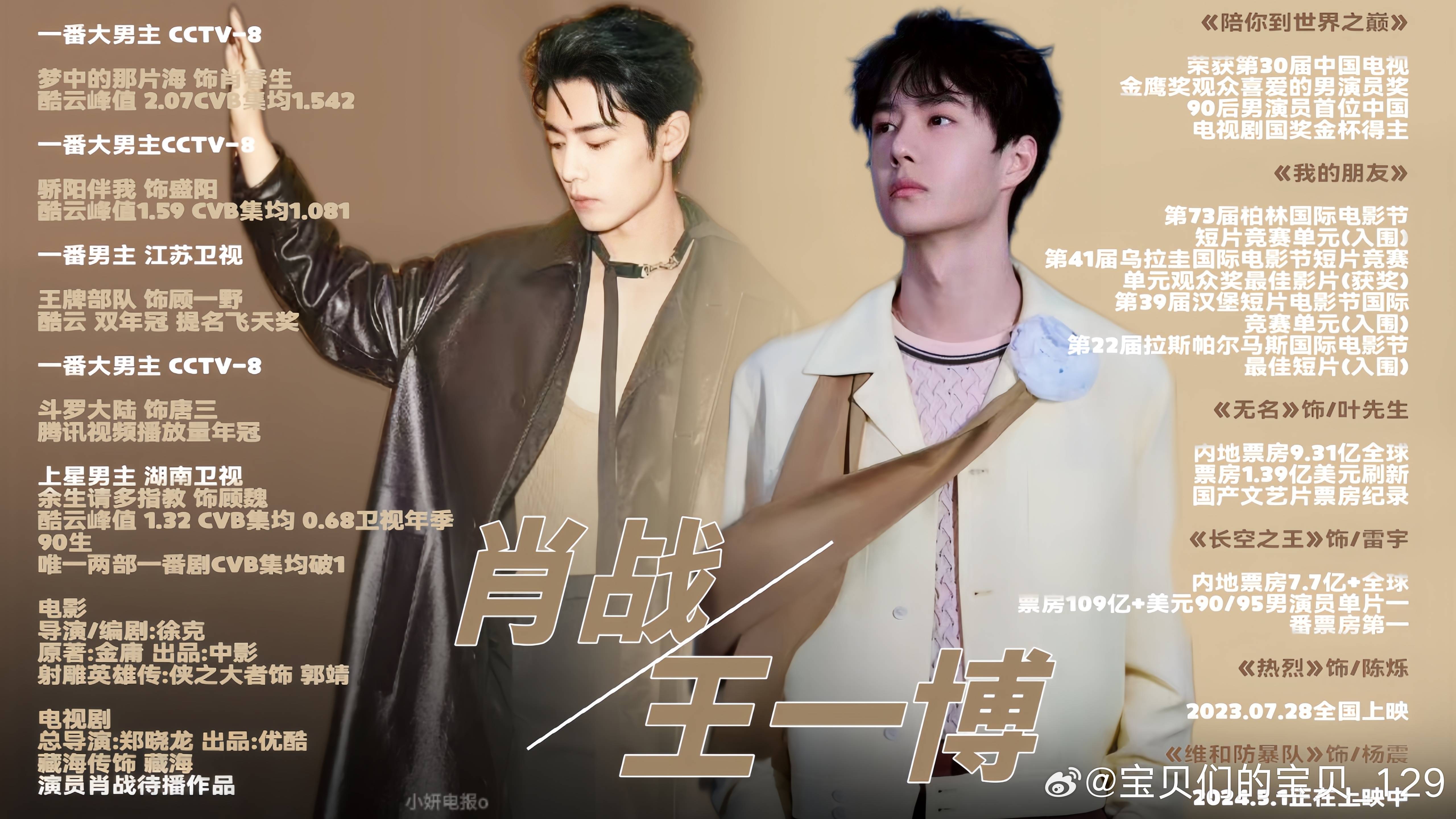 王中王一肖中特資料詳解，王中王一肖中特資料深度解析