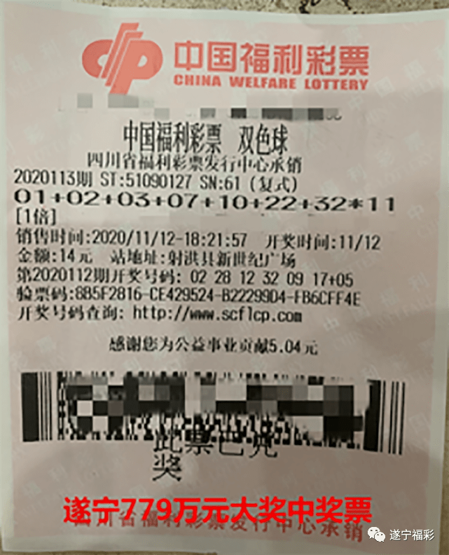 王中王遂寧平臺(tái)一肖中特，深度解析與SEO優(yōu)化策略，王中王遂寧平臺(tái)一肖中特深度解析與SEO優(yōu)化策略探討