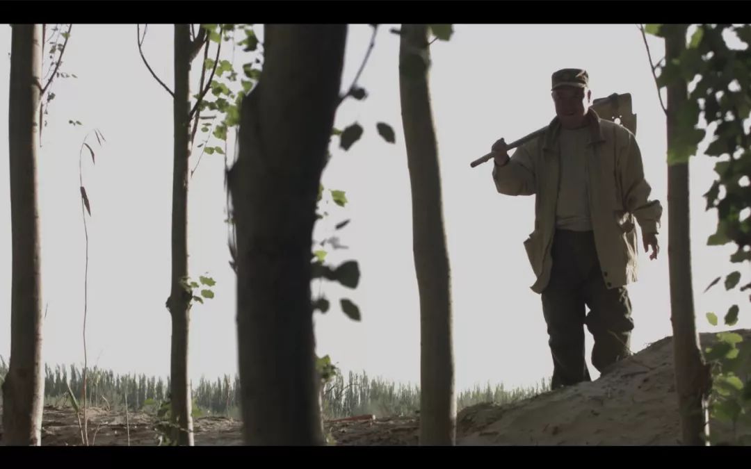 今晚劉伯溫四不像一肖圖，揭秘神秘預測背后的故事，揭秘劉伯溫四不像一肖圖的神秘預測故事