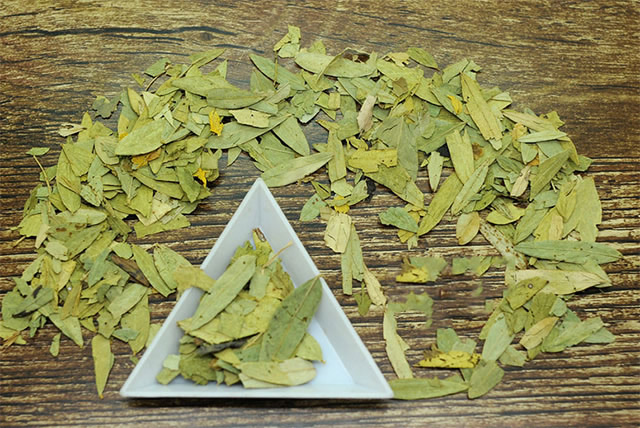 番瀉葉的功效與作用，番瀉葉的功效與作用簡介