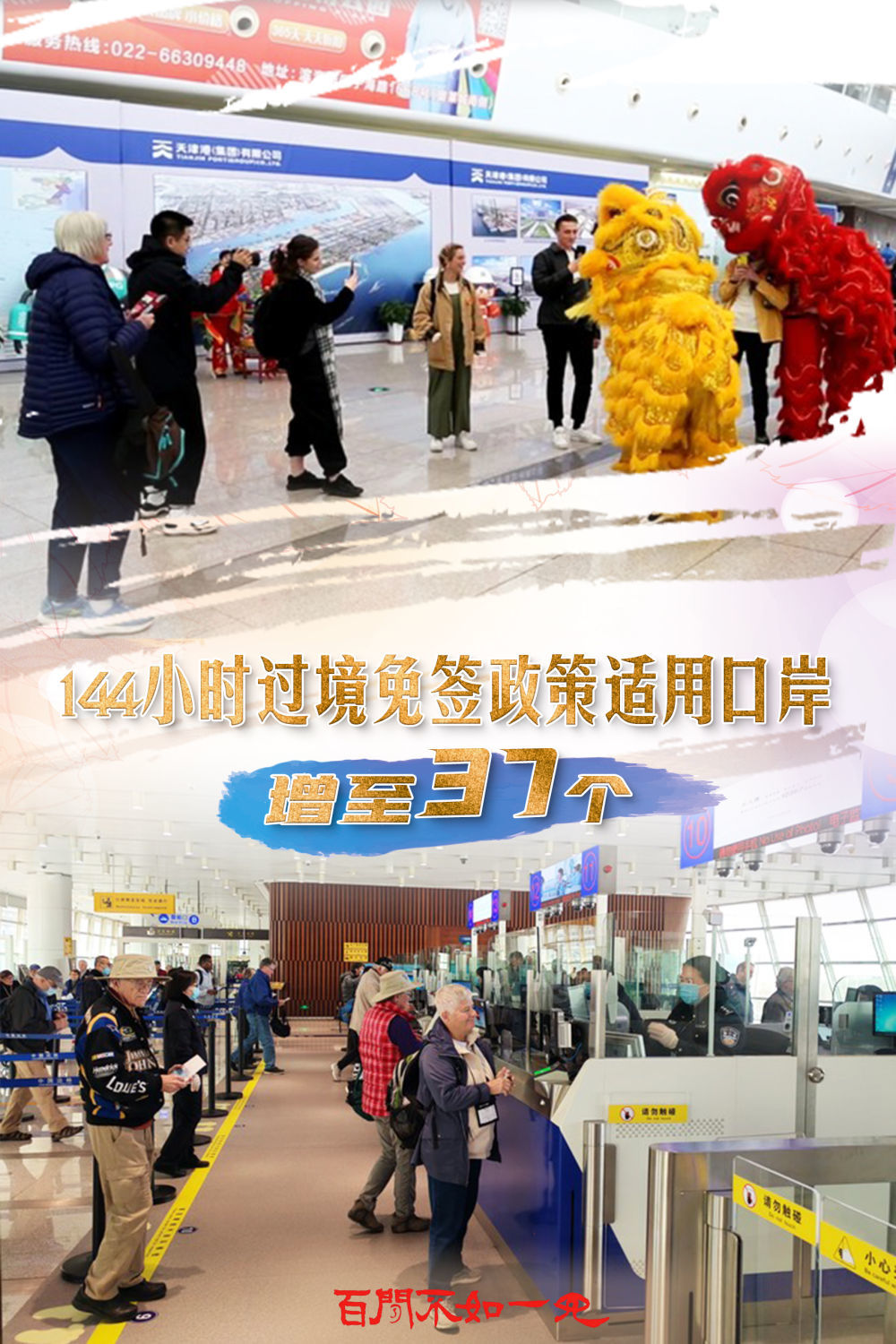 澳門王中王，揭秘一肖一特一中奧秘，澳門王中王揭秘生肖秘密，一肖一特一中奧秘探秘