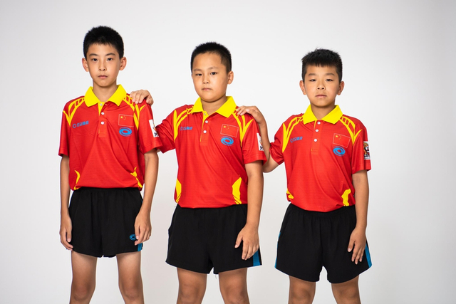 王中王白小姐四肖選一，揭秘背后的秘密與策略，揭秘王中王白小姐四肖選一背后的秘密與策略之道