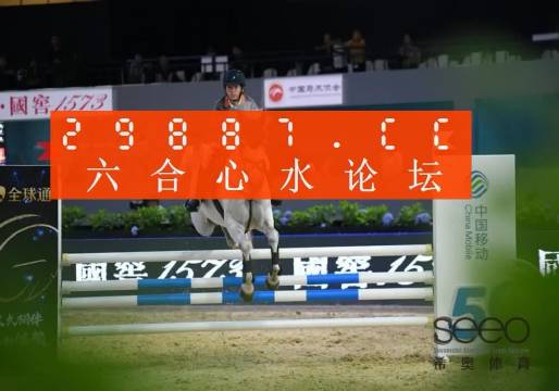 王中王資料一肖中特官婆，深度解析與SEO優(yōu)化策略，王中王資料一肖中特官婆深度解析與SEO優(yōu)化策略探討