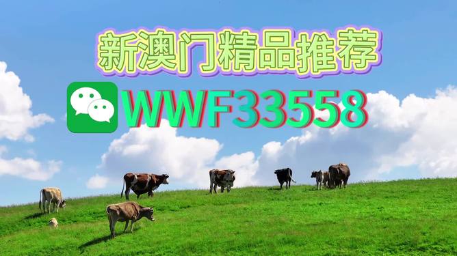 揭秘今晚9點30生肖運勢，你的生肖運勢如何？，揭秘今晚9點30生肖運勢，你的生肖運勢走向如何？