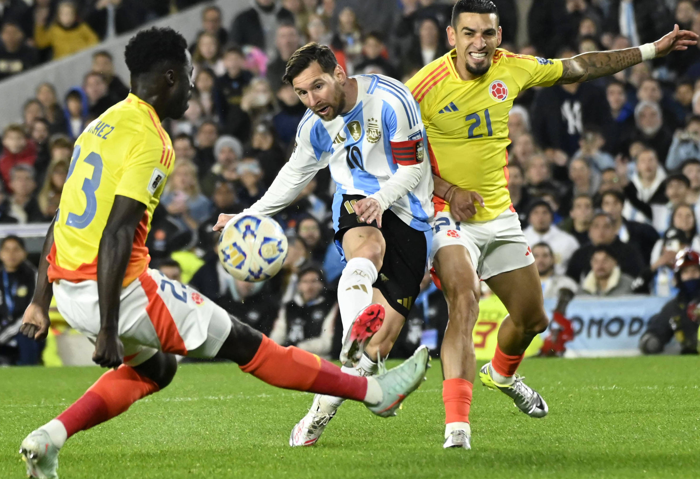 王中王077期一肖特種，深度解析與SEO優(yōu)化策略，王中王077期生肖特種深度解析與SEO優(yōu)化策略探討