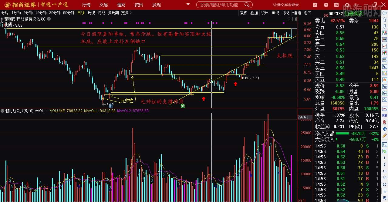 仙琚制藥股票（代碼，002332）深度解析，仙琚制藥股票深度解析（代碼，002332）