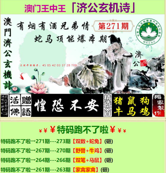 一肖中特王中王香港，揭秘彩票背后的秘密，揭秘彩票背后的秘密，香港一肖中特王中王真相探索