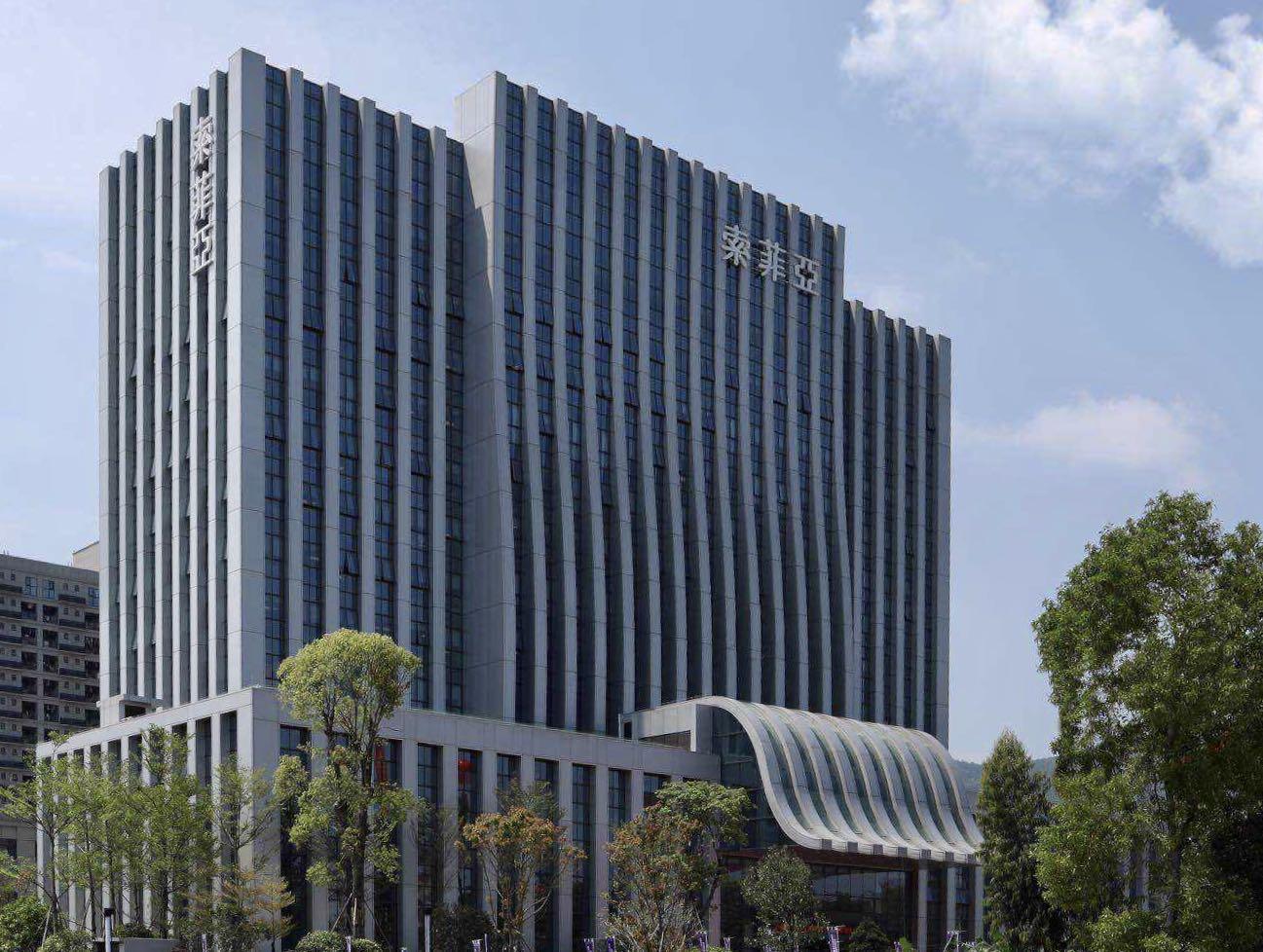 索菲亞，探尋品牌魅力與SEO優(yōu)化之道，索菲亞，品牌魅力與SEO優(yōu)化之旅