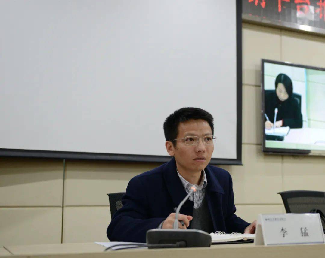 正版王中王一肖平碼圖——深度解析與探索，正版王中王一肖平碼圖深度探索與解析